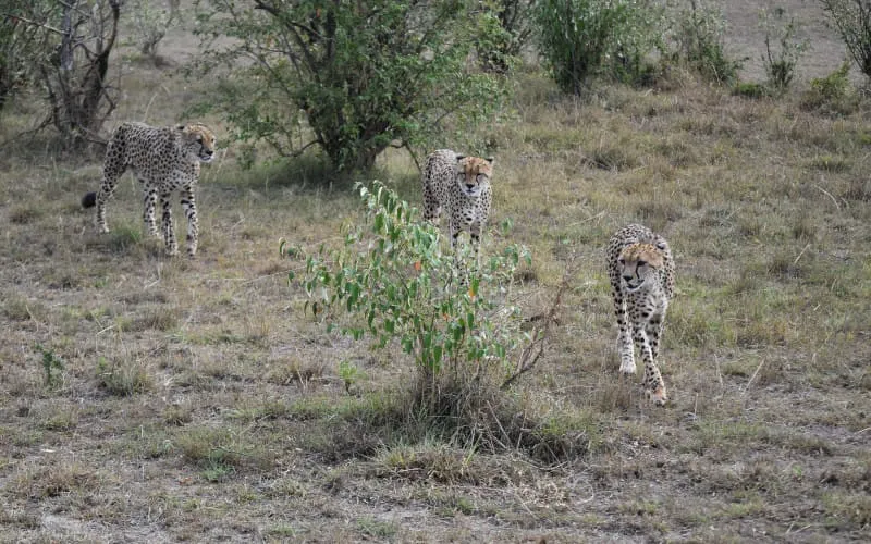 dsc_1573.jpg